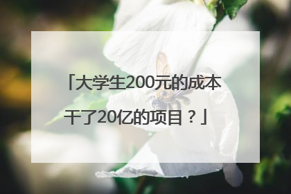 大学生200元的成本干了20亿的项目？