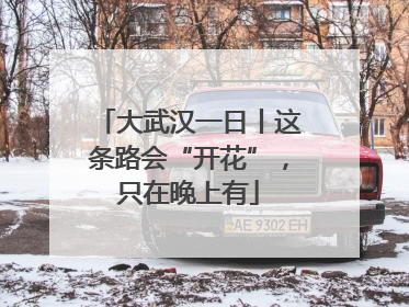 大武汉一日丨这条路会“开花”，只在晚上有