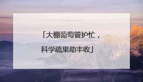 大棚葡萄管护忙，科学疏果助丰收