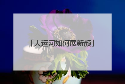 大运河如何展新颜