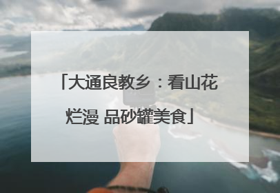 大通良教乡：看山花烂漫 品砂罐美食