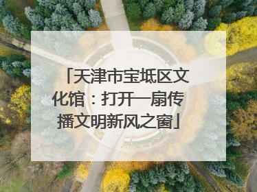 天津市宝坻区文化馆：打开一扇传播文明新风之窗
