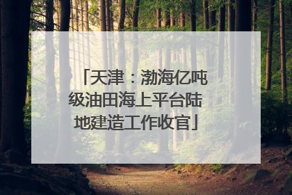 天津：渤海亿吨级油田海上平台陆地建造工作收官