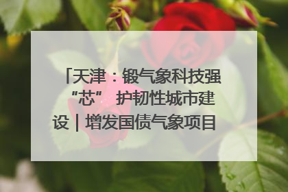天津：锻气象科技强“芯” 护韧性城市建设｜增发国债气象项目落地见效系列报道