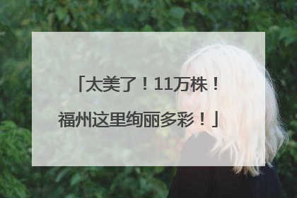 太美了！11万株！福州这里绚丽多彩！