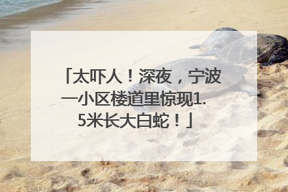 太吓人！深夜，宁波一小区楼道里惊现1.5米长大白蛇！