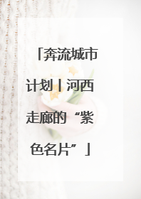 奔流城市计划丨河西走廊的“紫色名片”