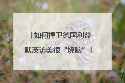如何捍卫德国利益 默茨访美很“烧脑”