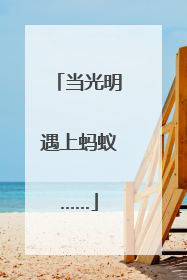当光明遇上蚂蚁……