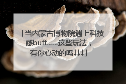 当内蒙古博物院遇上科技感buff……这些玩法，有你心动的吗↓↓↓