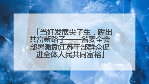 当好发展尖子生，蹚出共富新路子——省委全会部署激励江苏干部群众促进全体人民共同富裕