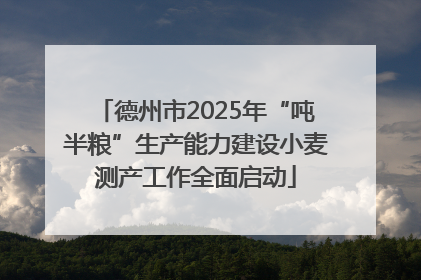 德州市2025年“吨半粮”生产能力建设小麦测产工作全面启动