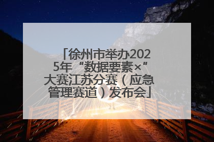 徐州市举办2025年“数据要素×”大赛江苏分赛（应急管理赛道）发布会