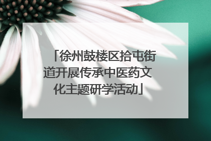 徐州鼓楼区拾屯街道开展传承中医药文化主题研学活动