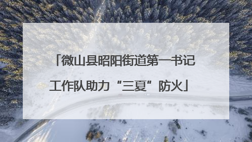 微山县昭阳街道第一书记工作队助力“三夏”防火