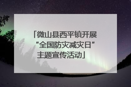 微山县西平镇开展“全国防灾减灾日”主题宣传活动