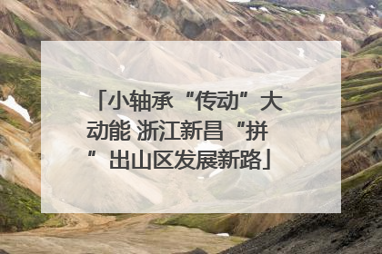 小轴承“传动”大动能 浙江新昌“拼”出山区发展新路