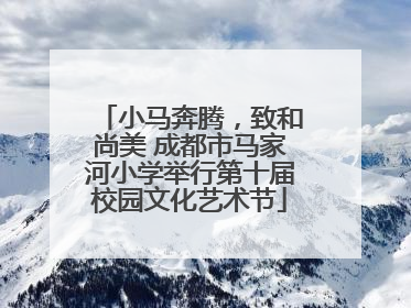 小马奔腾，致和尚美 成都市马家河小学举行第十届校园文化艺术节