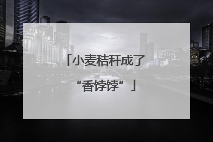小麦秸秆成了“香饽饽”