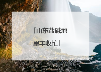山东盐碱地里丰收忙