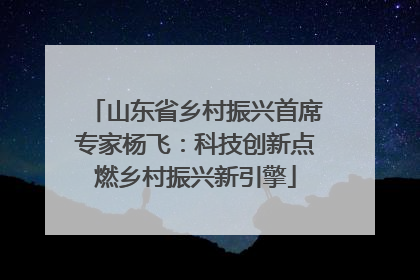 山东省乡村振兴首席专家杨飞：科技创新点燃乡村振兴新引擎
