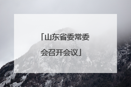 山东省委常委会召开会议