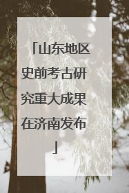 山东地区史前考古研究重大成果在济南发布