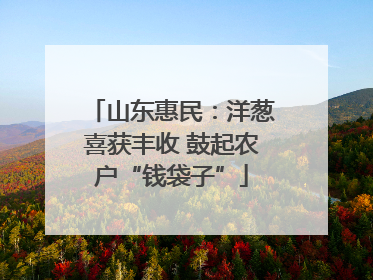 山东惠民：洋葱喜获丰收 鼓起农户“钱袋子”