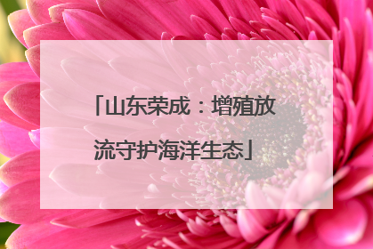 山东荣成：增殖放流守护海洋生态