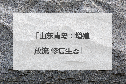 山东青岛：增殖放流 修复生态
