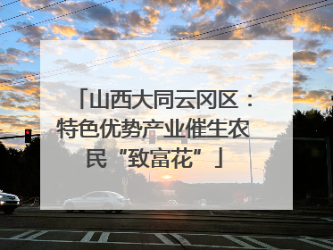 山西大同云冈区：特色优势产业催生农民“致富花”