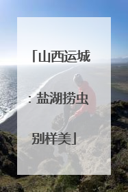 山西运城：盐湖捞虫别样美