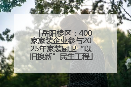岳阳楼区：400家家装企业参与2025年家装厨卫“以旧换新”民生工程