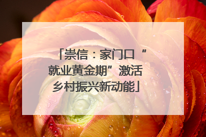 崇信：家门口“就业黄金期”激活乡村振兴新动能