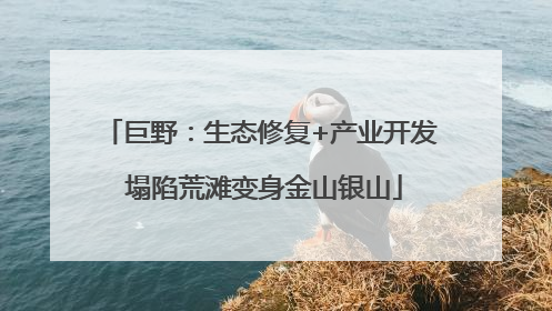 巨野：生态修复+产业开发 塌陷荒滩变身金山银山