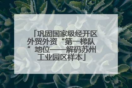 巩固国家级经开区外贸外资“第一梯队”地位——解码苏州工业园区样本