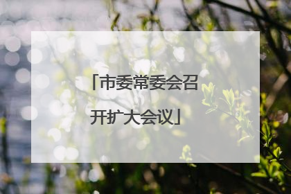 市委常委会召开扩大会议