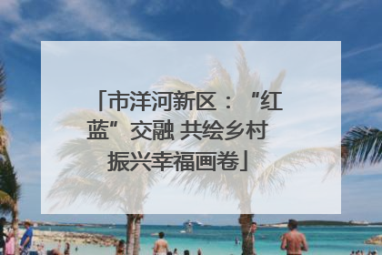 市洋河新区：“红蓝”交融 共绘乡村振兴幸福画卷