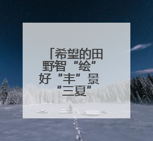 希望的田野智“绘”好“丰”景 “三夏”生产向“新”而行