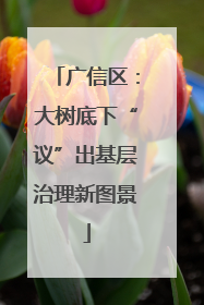 广信区：大树底下“议”出基层治理新图景