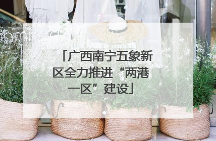 广西南宁五象新区全力推进“两港一区”建设