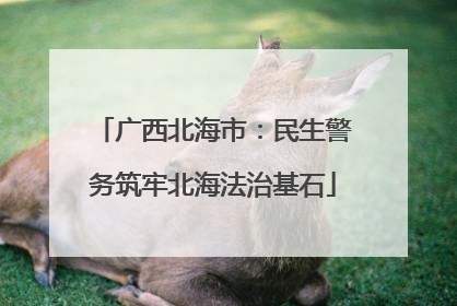 广西北海市：民生警务筑牢北海法治基石