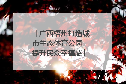 广西梧州打造城市生态体育公园 提升民众幸福感