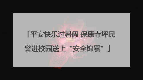 平安快乐过暑假 保康寺坪民警进校园送上“安全锦囊”