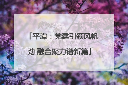 平潭：党建引领风帆劲 融合聚力谱新篇