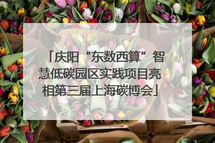 庆阳“东数西算”智慧低碳园区实践项目亮相第三届上海碳博会