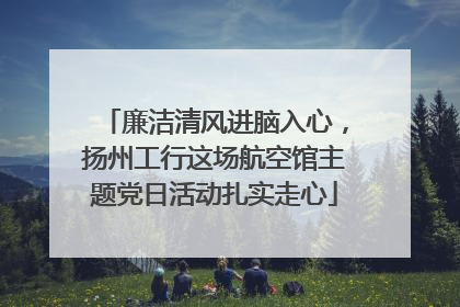 廉洁清风进脑入心，扬州工行这场航空馆主题党日活动扎实走心