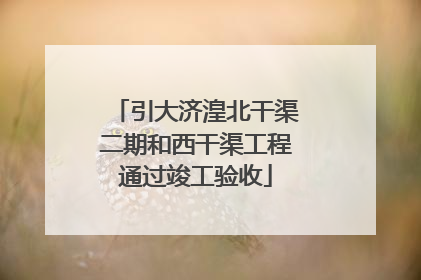引大济湟北干渠二期和西干渠工程通过竣工验收