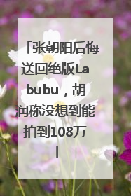 张朝阳后悔送回绝版Labubu，胡润称没想到能拍到108万