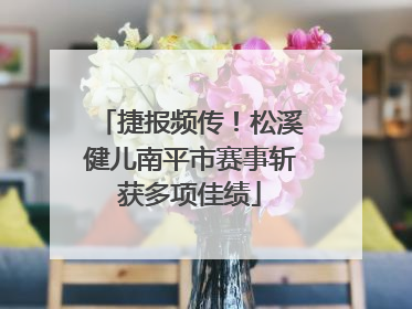 捷报频传！松溪健儿南平市赛事斩获多项佳绩